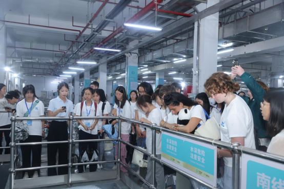 1750910208859836.png image.png