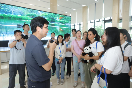 1750910225838420.png image.png